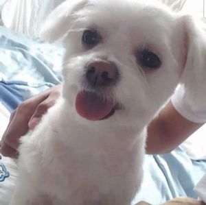 Meet your Posher, Jorge